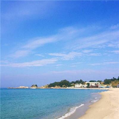 茅山傀儡传手游下载